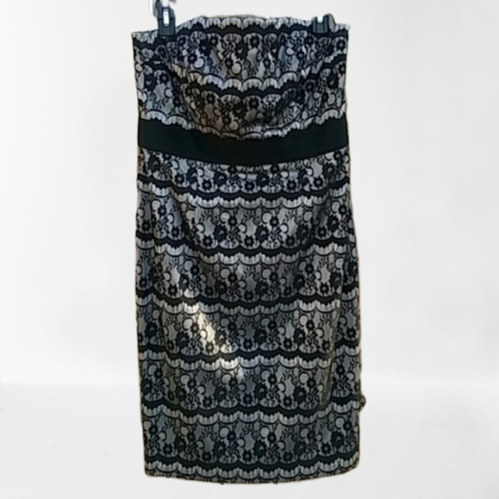 NWOT WHBM Strapless Lace Dress